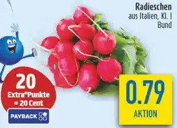 diska Radieschen Angebot