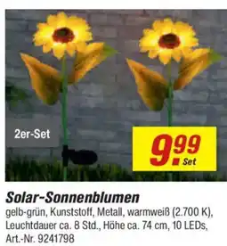 toom Baumarkt Solar-Sonnenblumen 2er-Set Angebot