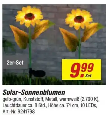 toom Baumarkt Solar-Sonnenblumen 2er-Set Angebot