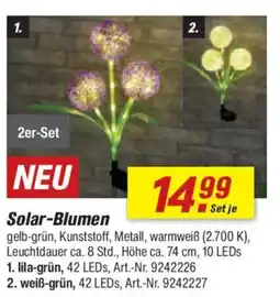 toom Baumarkt Solar-Blumen Angebot