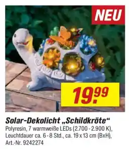 toom Baumarkt Solar-Dekolicht „Schildkröte" Angebot