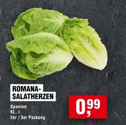 Handelshof ROMANA- SALATHERZEN Angebot