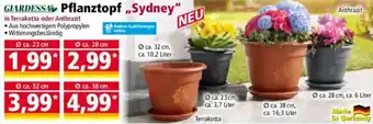 Norma GIARDESSA Pflanztopf „Sydney" Angebot