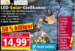 Norma I-GLOW by flower LED-Solar-Gieẞkanne Angebot