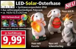 Norma I-GLOW LED-Solar-Osterhase Angebot