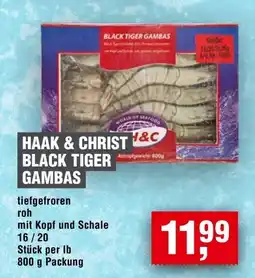 Handelshof HAAK & CHRIST BLACK TIGER GAMBAS Angebot