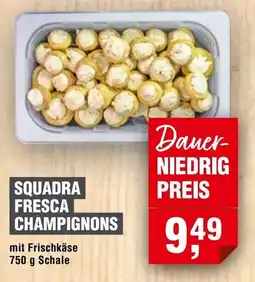 Handelshof SQUADRA FRESCA CHAMPIGNONS Angebot