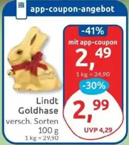 Budni Lindt Goldhase Angebot