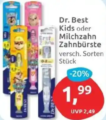 Budni Dr. Best Kids oder Milchzahn Zahnbürste Angebot