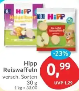 Budni Hipp Reiswaffeln Angebot