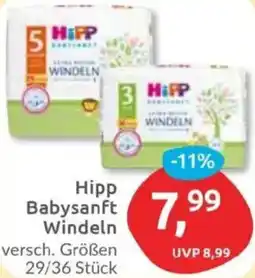 Budni Hipp Babysanft Windeln Angebot