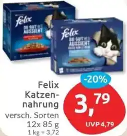 Budni Felix Katzennahrung Angebot