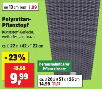 Thomas Philipps Polyrattan Pflanztopf Angebot