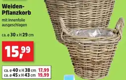 Thomas Philipps Weiden Pflanzkorb Angebot