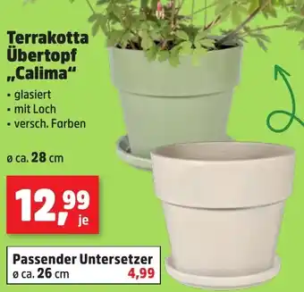 Thomas Philipps Terrakotta Übertopf ,,Calima" Angebot