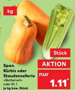 Kaufland Span. Kürbis oder Staudensellerie Angebot