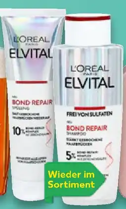 Kaufland L'ORÉAL PARIS Elvital Bond Repair Shampoo oder Spülung Angebot