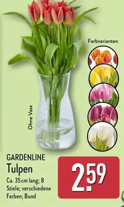 Aldi Nord GARDENLINE Tulpen Angebot