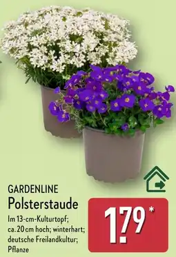 Aldi Nord GARDENLINE Polsterstaude Angebot