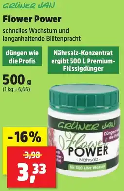 Thomas Philipps GRÜNER JAN Flower Power Angebot