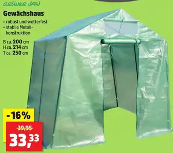 Thomas Philipps GRÜNER JAN Gewächshaus Angebot