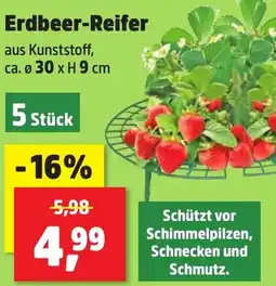 Thomas Philipps Erdbeer-Reifer Angebot