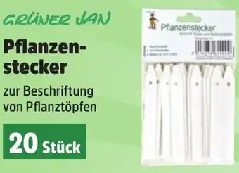 Thomas Philipps GRÜNER JAN Pflanzenstecker Angebot