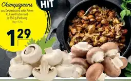 CITTI Markt Champignons Angebot