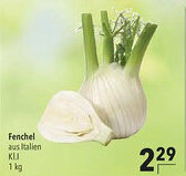 CITTI Markt Fenchel Angebot