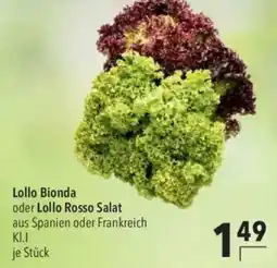 CITTI Markt Lollo Bionda oder Lollo Rosso Salat Angebot