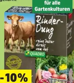 Thomas Philipps Grüner Jan Rinderdung Angebot