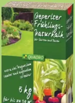 Thomas Philipps Grüner Jan Geperlter Frühlings-Naturkalk Angebot