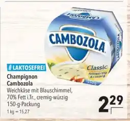 CITTI Markt Champignon Cambozola Angebot