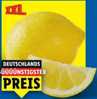 Lidl Zitronen XXL Angebot