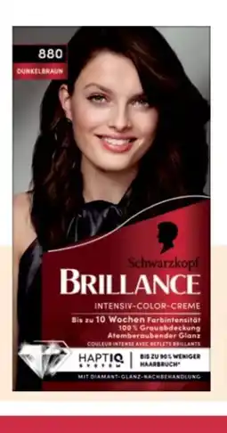 Rossmann Schwarzkopf Brillance Coloration Angebot