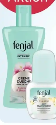 Rossmann Fenjal Creme-Dusche Angebot