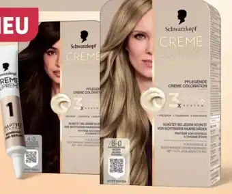 Rossmann Schwarzkopf Creme Supreme Coloration Angebot