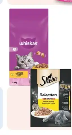 Rossmann Whiskas Katzen-Trockennahrung Angebot