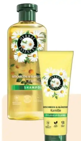 Rossmann Herbal Essences Shampoo Angebot