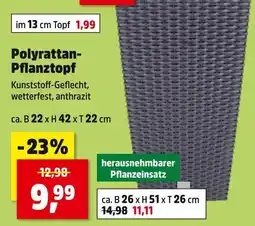 Thomas Philipps Polyrattan-pflanztopf Angebot