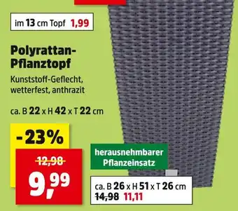 Thomas Philipps Polyrattan-pflanztopf Angebot