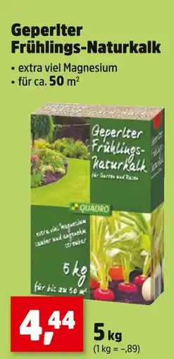 Thomas Philipps Quadro geperlter frühlings-naturkalk Angebot