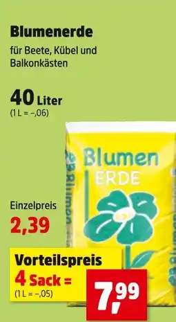 Thomas Philipps Blumenerde Angebot