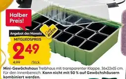 Rusta Mini-gewächshaus Angebot