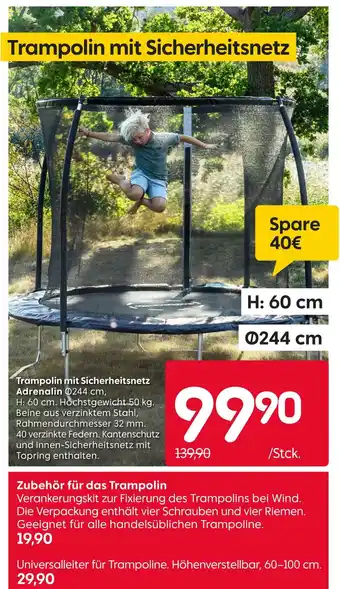 Rusta Trampolin mit sicherheitsnetz adrenalin Angebot