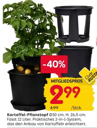 Rusta Kartoffel-pflanztopf Angebot