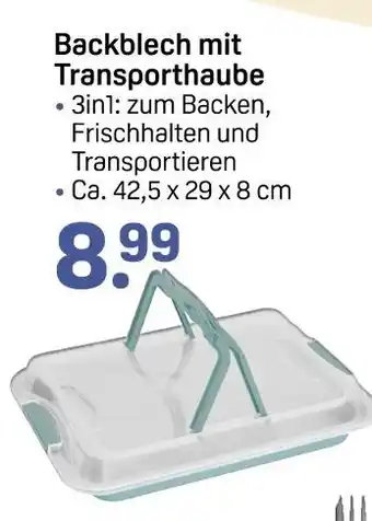 Rossmann Backblech mit transporthaube Angebot