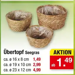 Zimmermann Übertopf Angebot