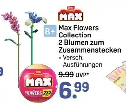 Rossmann Zuru max flowers Angebot