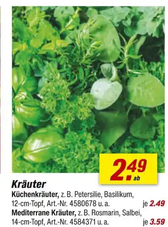 toom Baumarkt Kräuter Angebot